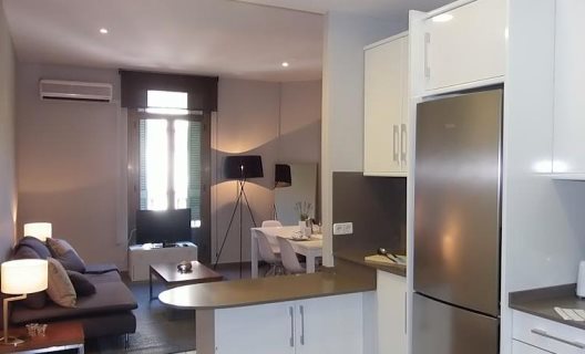 555 Apartments Bcn