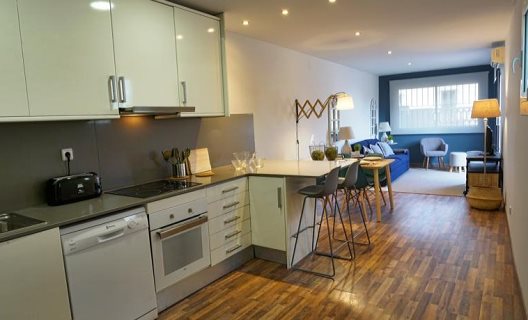 555 Apartments Bcn