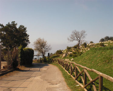 Agriturismo Fattoria Terranova
