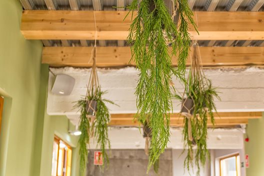 Albergue Bcool Bilbao