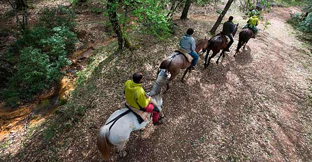 Albergue Inturjoven Cazorla