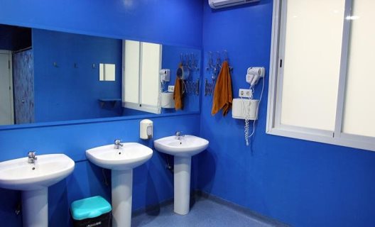 Albergue Purple Nest