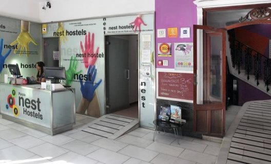 Albergue Purple Nest