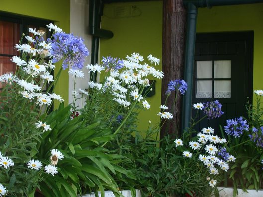 Albergue Sawmill