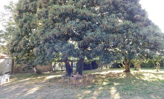 Albergue Turistico De Logrosa