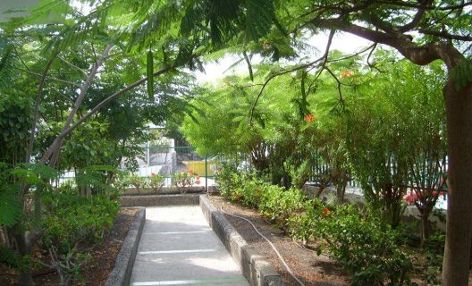 Apartamentos Aguycan Beach