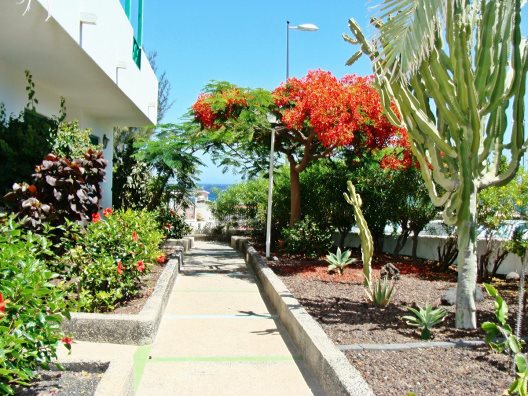 Apartamentos Aguycan Beach