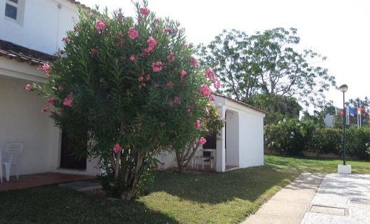 Apartamentos Aldeia Da Falesia
