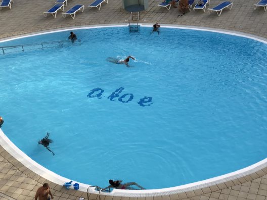 Apartamentos Aloe