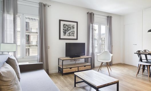 Apartamentos Amister