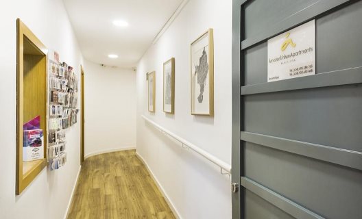 Apartamentos Amister