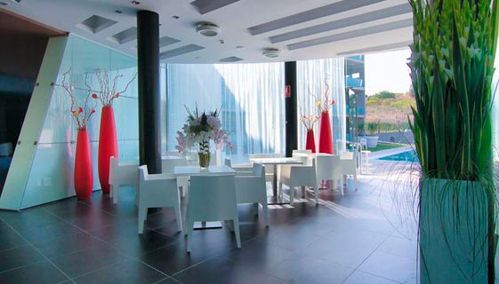 Apartamentos Apolo Suites Rentalmar