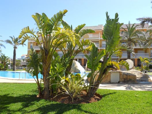 Apartamentos Aquamarinas