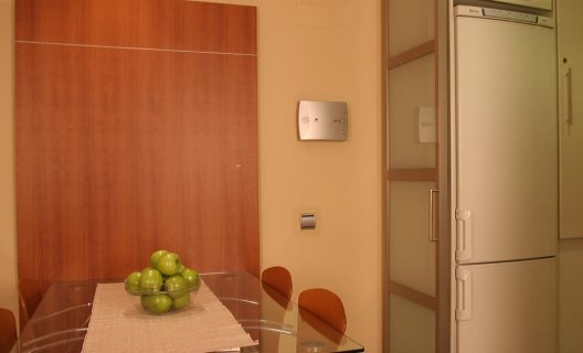 Apartamentos Arago Suites