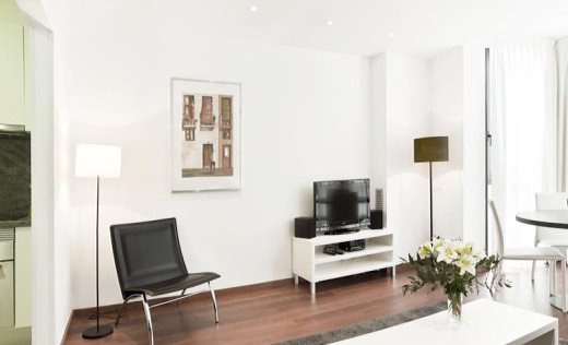 Apartamentos Aspasios Arago Executive