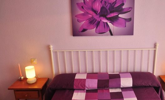 Apartamentos Austral
