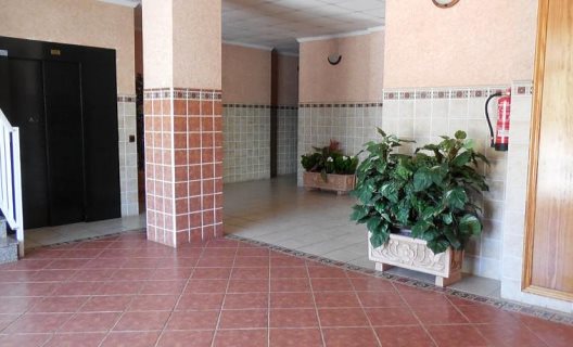 Apartamentos Bonaire 3000