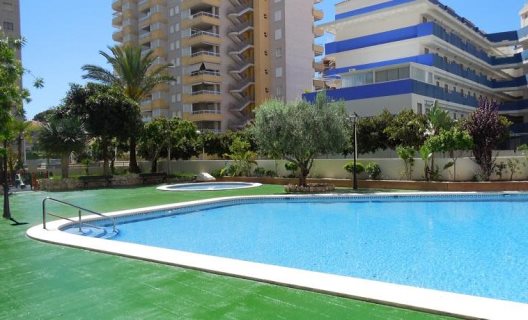 Apartamentos Bonaire 3000