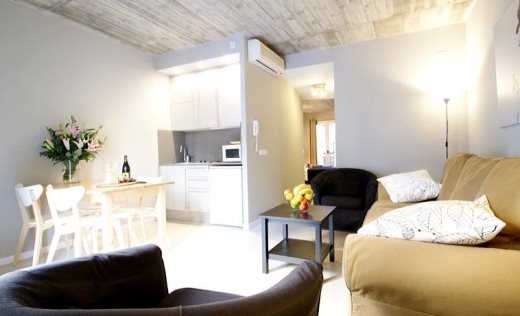 Apartamentos Borne Lofts