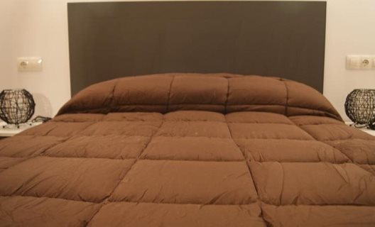 Apartamentos Borruscall