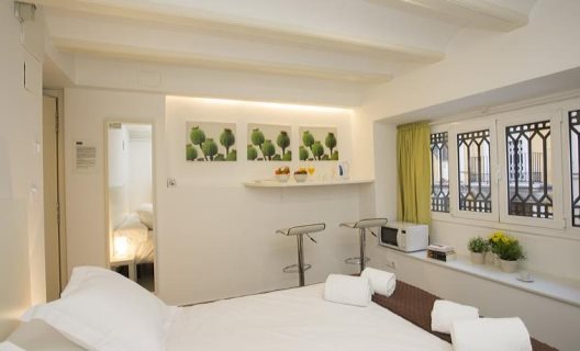 Apartamentos Botanico 29