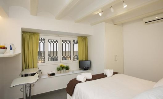 Apartamentos Botanico 29