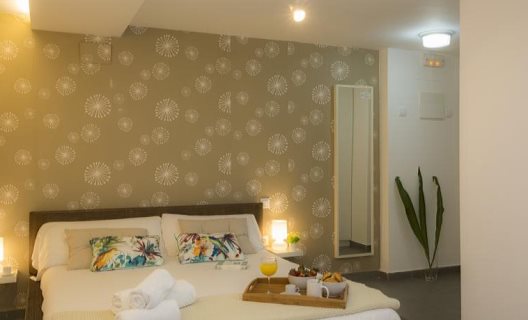 Apartamentos Botanico 29