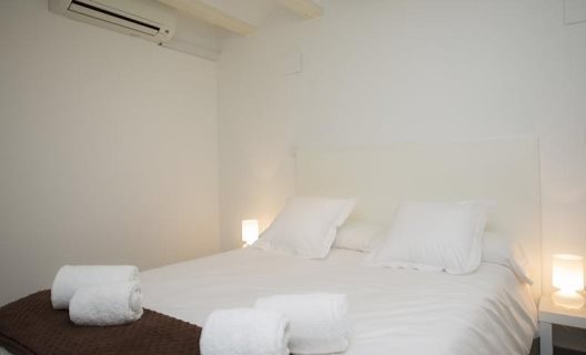 Apartamentos Botanico 29