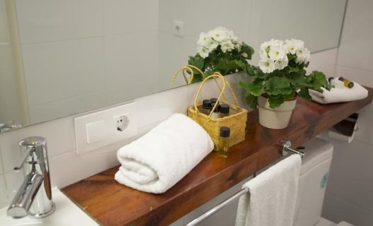 Apartamentos Botanico 29