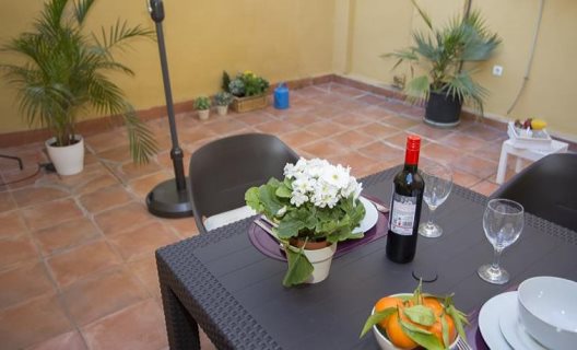 Apartamentos Botanico 29