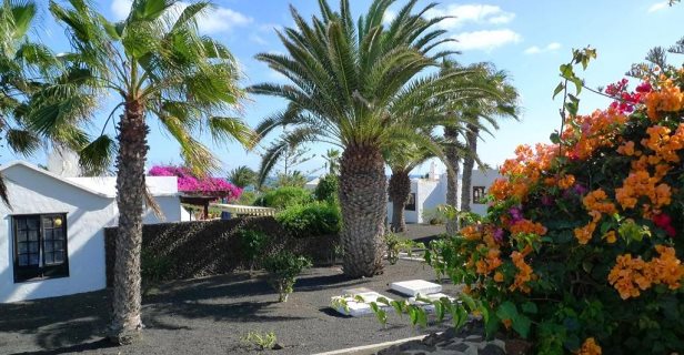 Apartamentos Bungalows Casas Del Sol