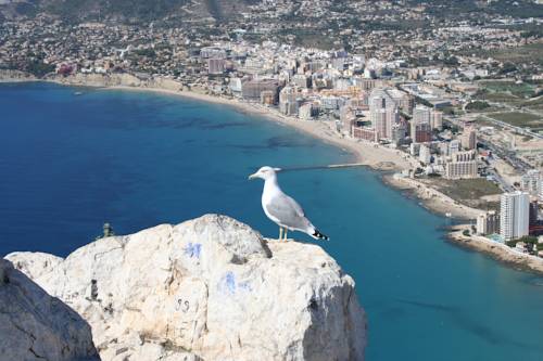 Apartamentos Calpe Puerto Blanco 3000