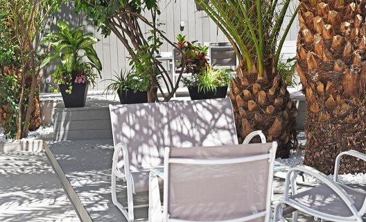 Apartamentos Calypso