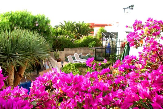Apartamentos Casa San Miguel