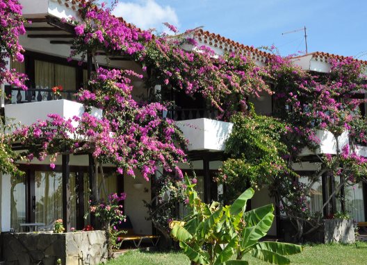 Apartamentos Casas Carmen