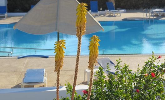 Apartamentos Casas Heddy