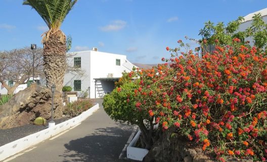Apartamentos Casas Heddy