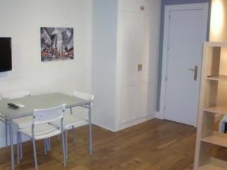 Apartamentos Chueca Studio