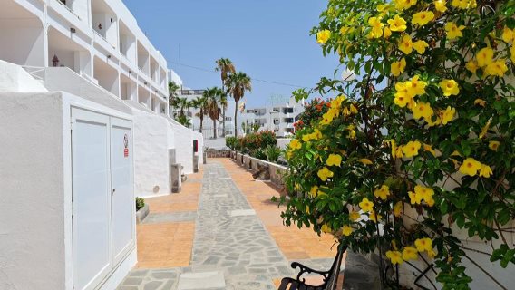 Apartamentos Club Las Vistas