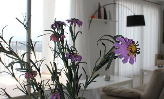 Apartamentos Colina Home Resort