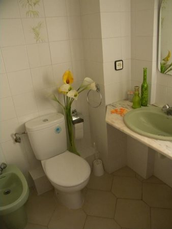 Apartamentos Complejo Novelty