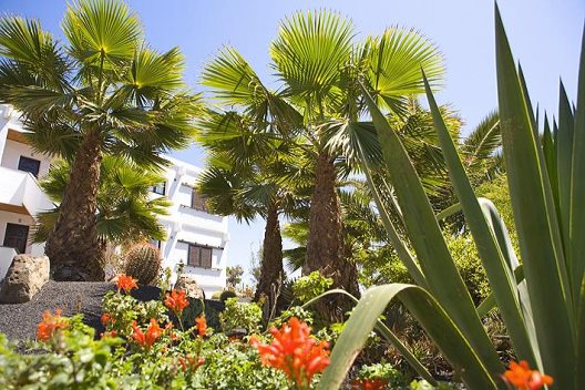 Apartamentos Costa Luz