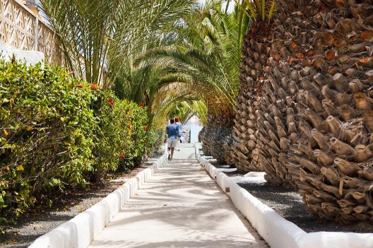 Apartamentos Cotillo Lagos