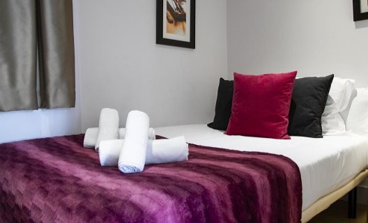 Apartamentos Dailyflats Pare Lainez