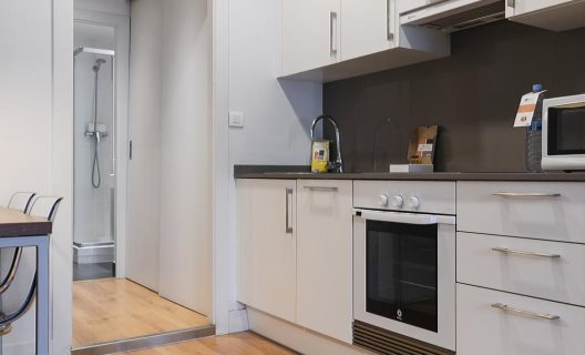 Apartamentos Dailyflats Pare Lainez
