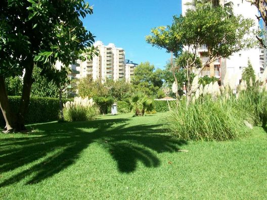 Apartamentos Don Chimo-danio
