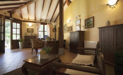 Apartamentos Don Clemente