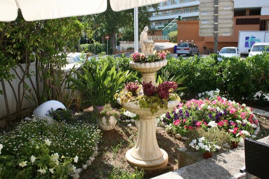 Apartamentos Don Miguel