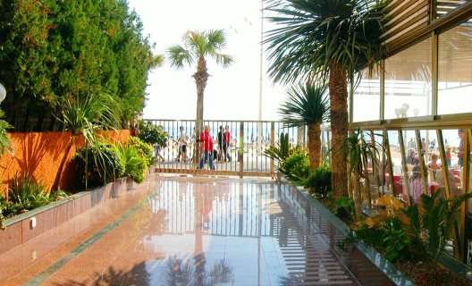 Apartamentos Don Vicente
