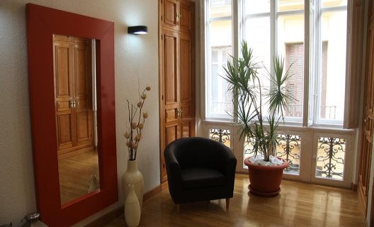 Apartamentos Echegaray Suite